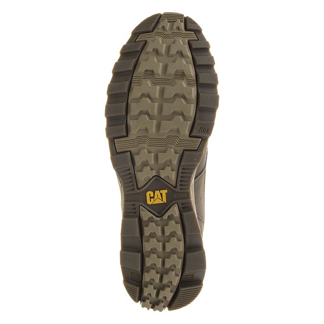 caterpillar elude wp